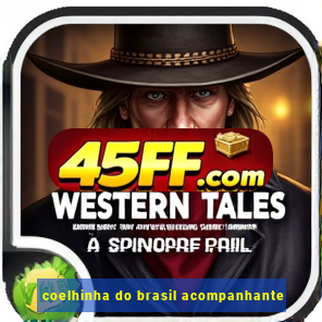 coelhinha do brasil acompanhante